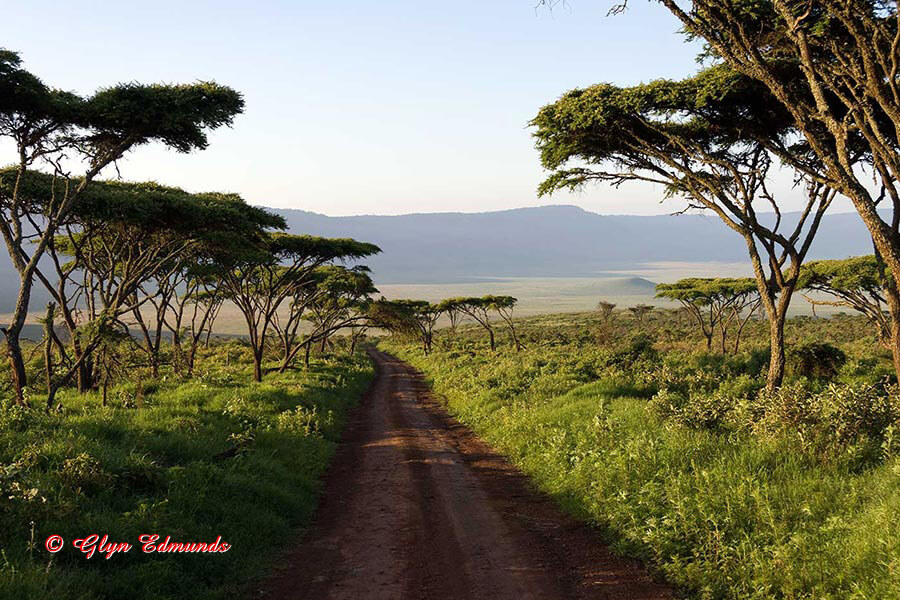 Heading into the Ngorongoro Crater
